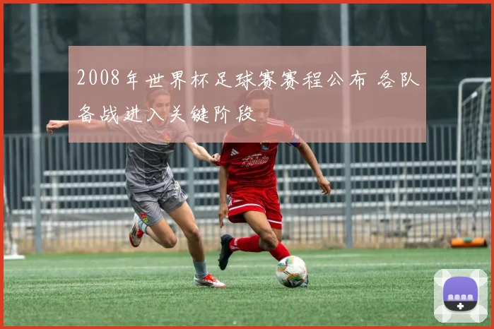 2008年世界杯足球赛赛程公布 各队备战进入关键阶段
