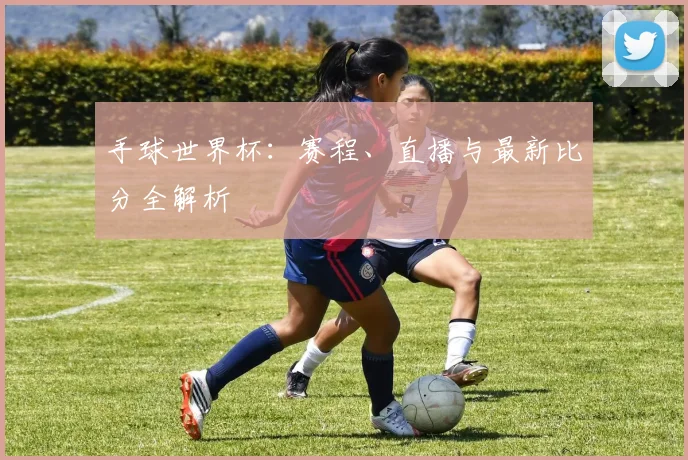 手球世界杯:赛程、直播与最新比分全解析