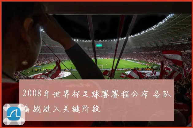 2008年世界杯足球赛赛程公布 各队备战进入关键阶段