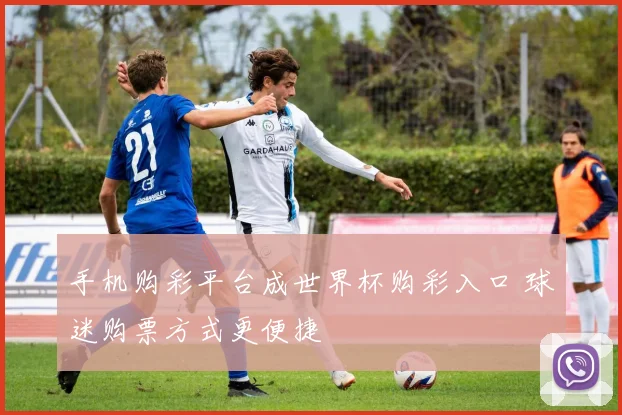 手机购彩平台成世界杯购彩入口 球迷购票方式更便捷